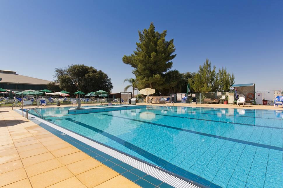 שורש ירוק בהר