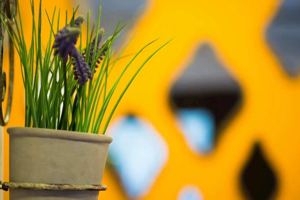 סאן סיטי תל אביב