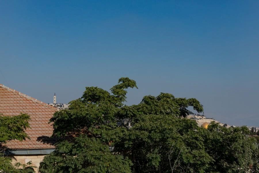 פתאל לאונרדו בוטיק ירושלים פתאל לאונרדו בוטיק ירושלים