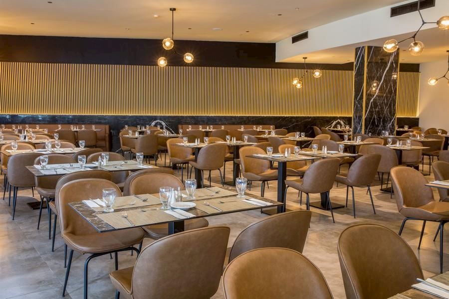 לייקהאוס כנרת לייקהאוס כנרת