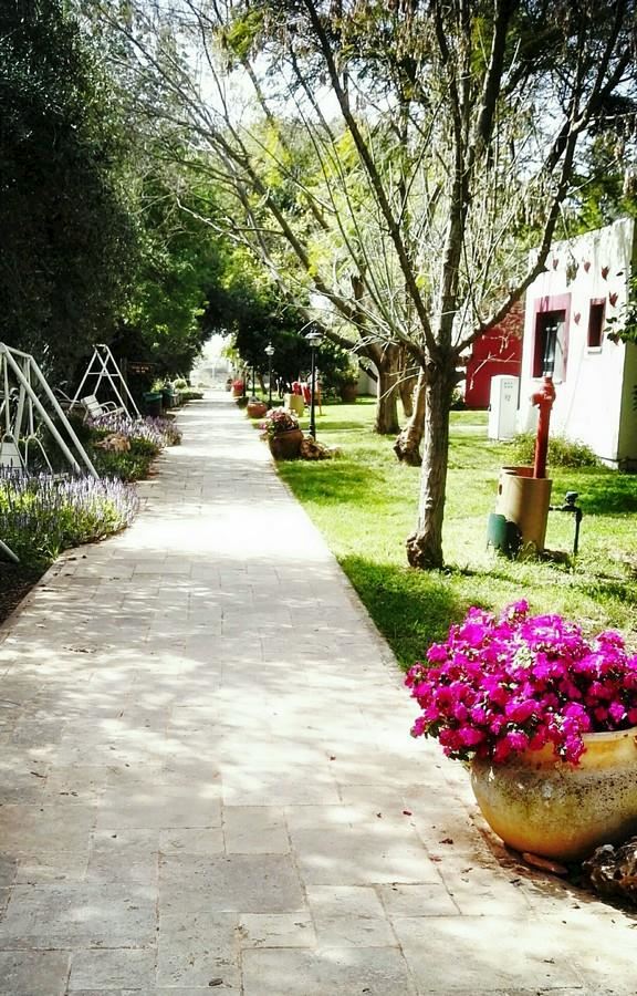 עמיעד קבוץ עמיעד