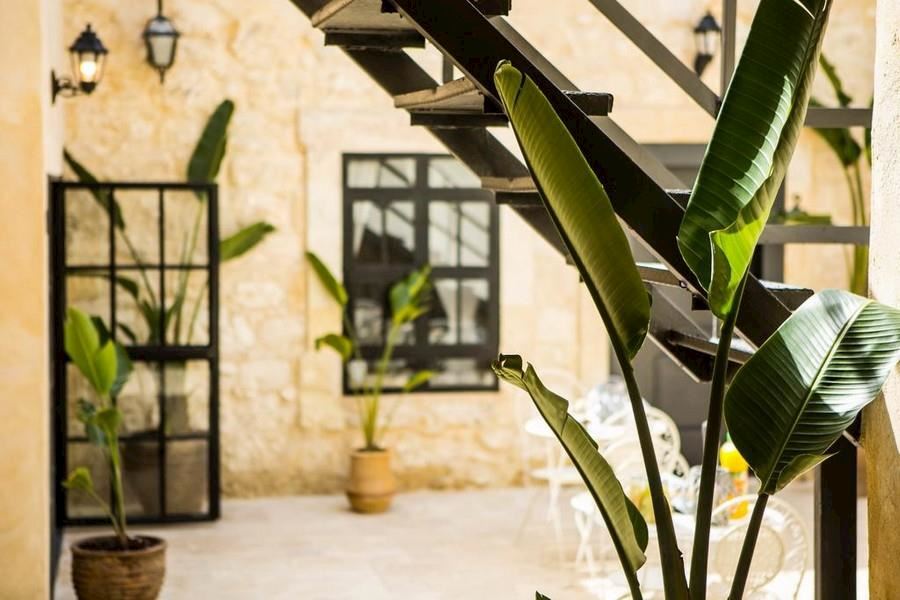 אחוזת אנילביץ` באר שבע אחוזת אנילביץ` באר שבע