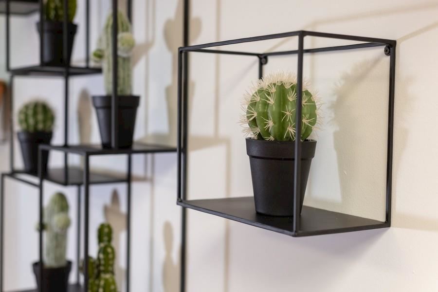 אמבסי תל אביב