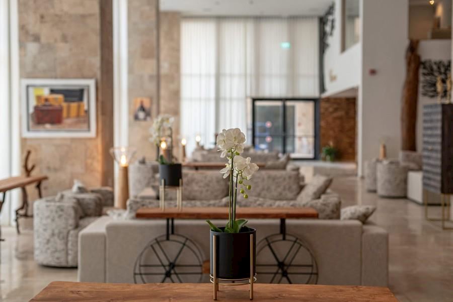 מלון קדם חיפה מלון קדם חיפה