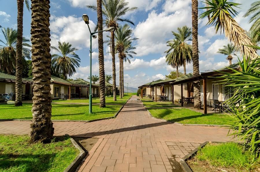 כפר הנופש דריה-חוויה ישראלית על הכנרת