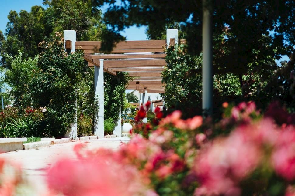 עין זיוון, קיבוץ עין זיוון עין זיוון, קיבוץ עין זיוון