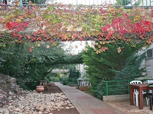 מנרה לודג` בית הארחה מנרה לודג` בית הארחה