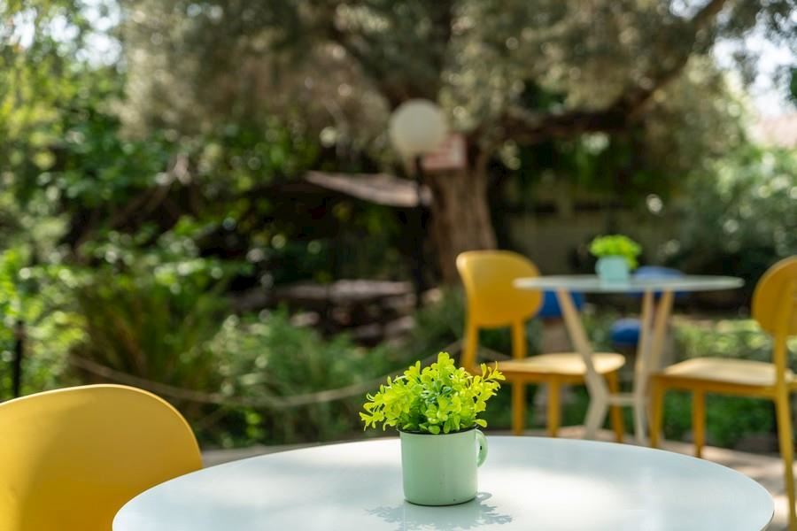 מטיילים גשר הזיו