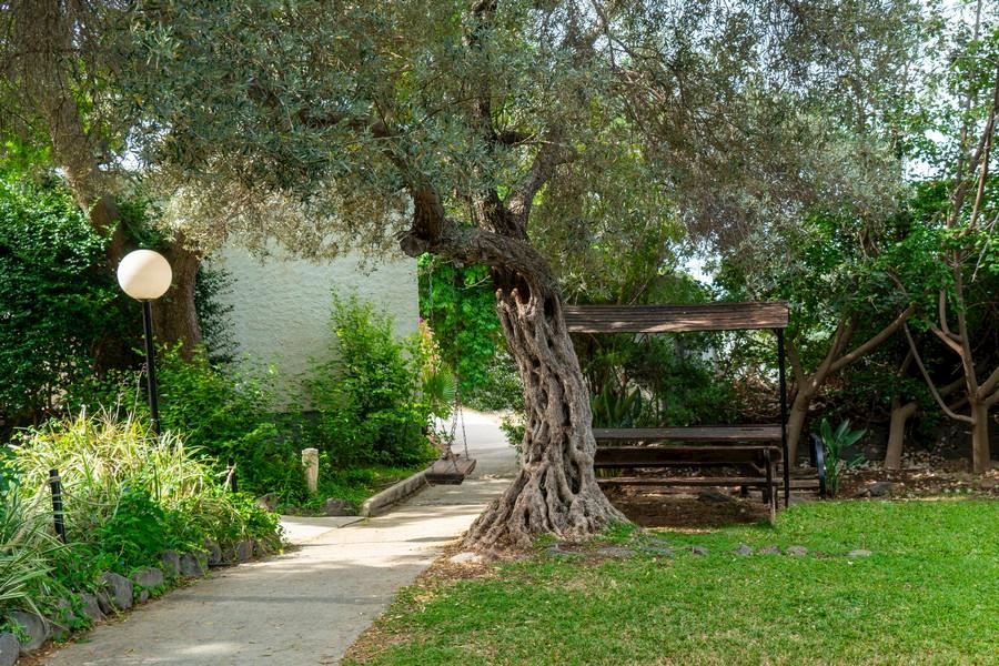 מטיילים גשר הזיו