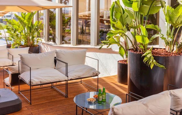 בראון ברוט תל אביב בראון ברוט תל אביב