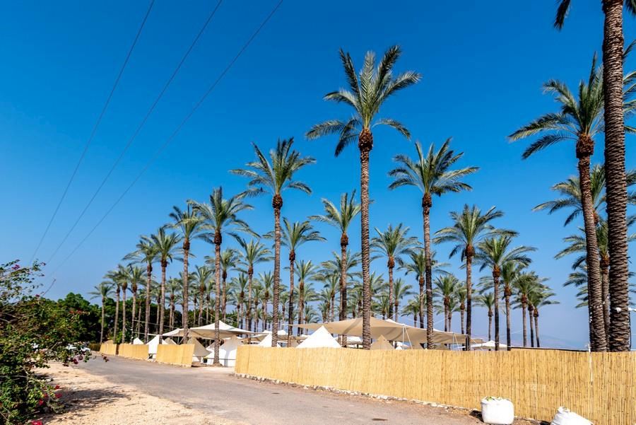 מיא גלמפינג על הכנרת