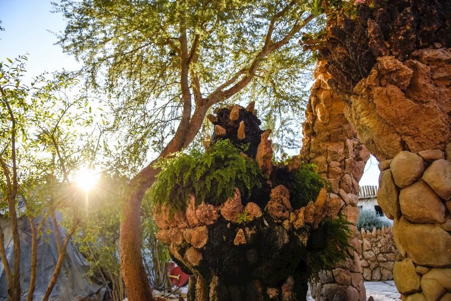 כפר הנוקדים, מדבר יהודה