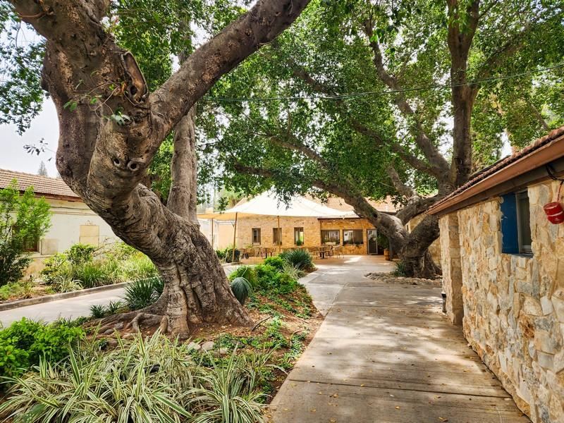 איילת השחר אירוח גלילי