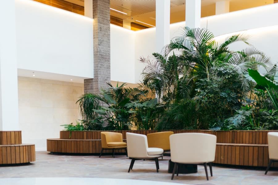 ספרה אילת ספרה אילת