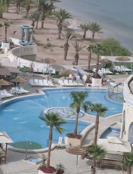 פתאל הרודס ויטאליס אילת פתאל הרודס ויטאליס אילת