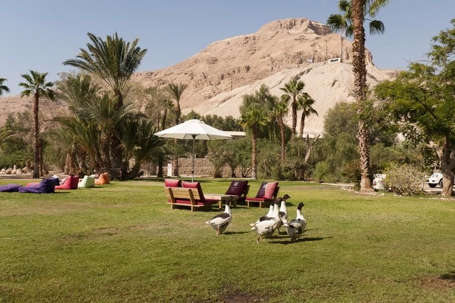 פתאל לאונרדו אין ים המלח