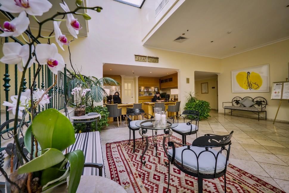 ישרוטל יערות הכרמל