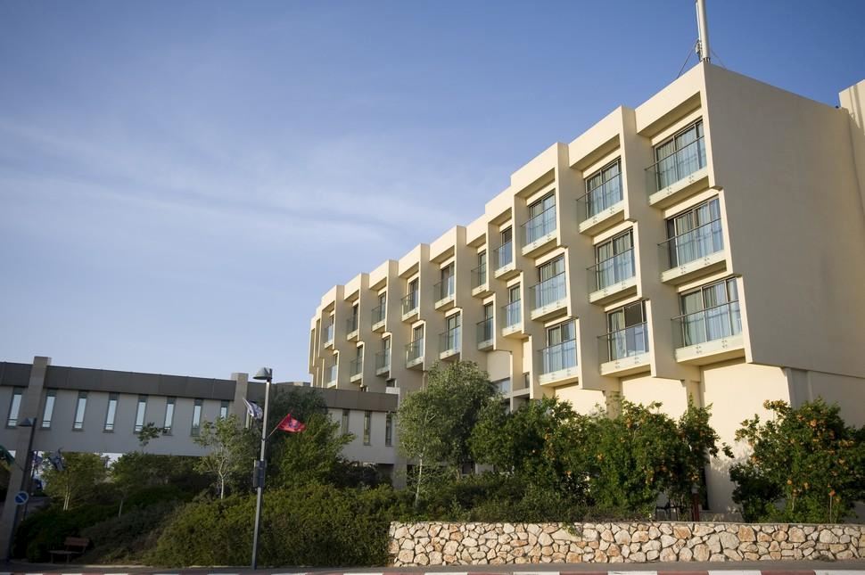 לביא קיבוץ לביא לביא קיבוץ לביא