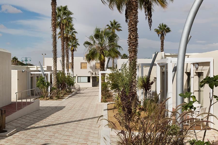 אירוס המדבר, ירוחם אירוס המדבר, ירוחם