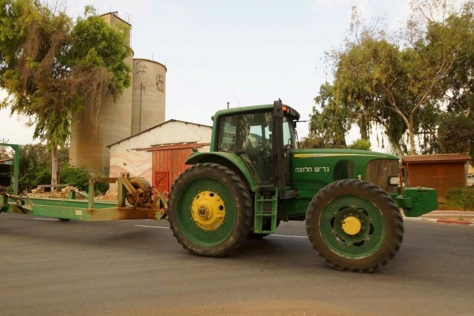 ארץ צאלים, קיבוץ צאלים