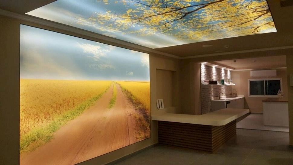 ארץ צאלים, קיבוץ צאלים