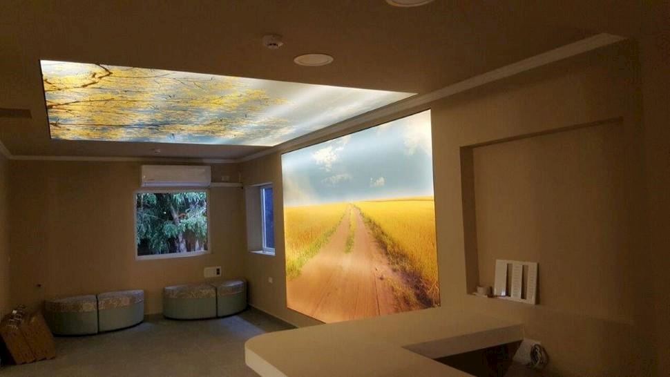 ארץ צאלים, קיבוץ צאלים