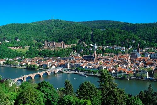 שווייץ והיער השחור