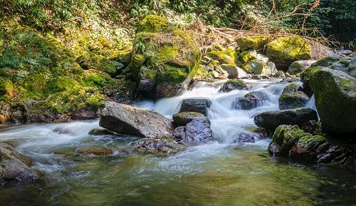 בטומי ומערב גאורגיה בטומי ומערב גאורגיה