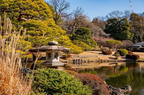 טוקיו  הקסומה
