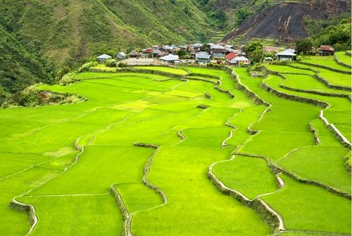 לגלות את הפיליפינים