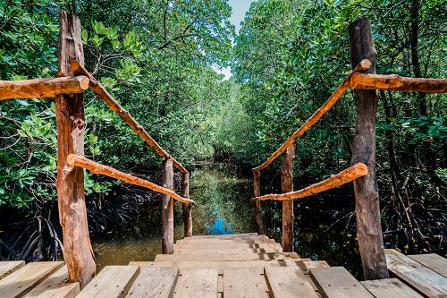 זנזיבר אי החלומות זנזיבר אי החלומות
