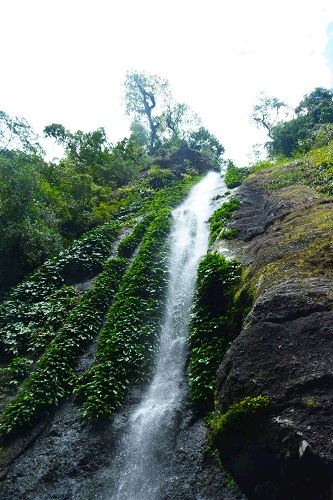 לגלות את הפיליפינים לגלות את הפיליפינים